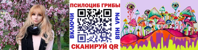 купить сайты Апатиты Псилоцибиновые грибы мицелий